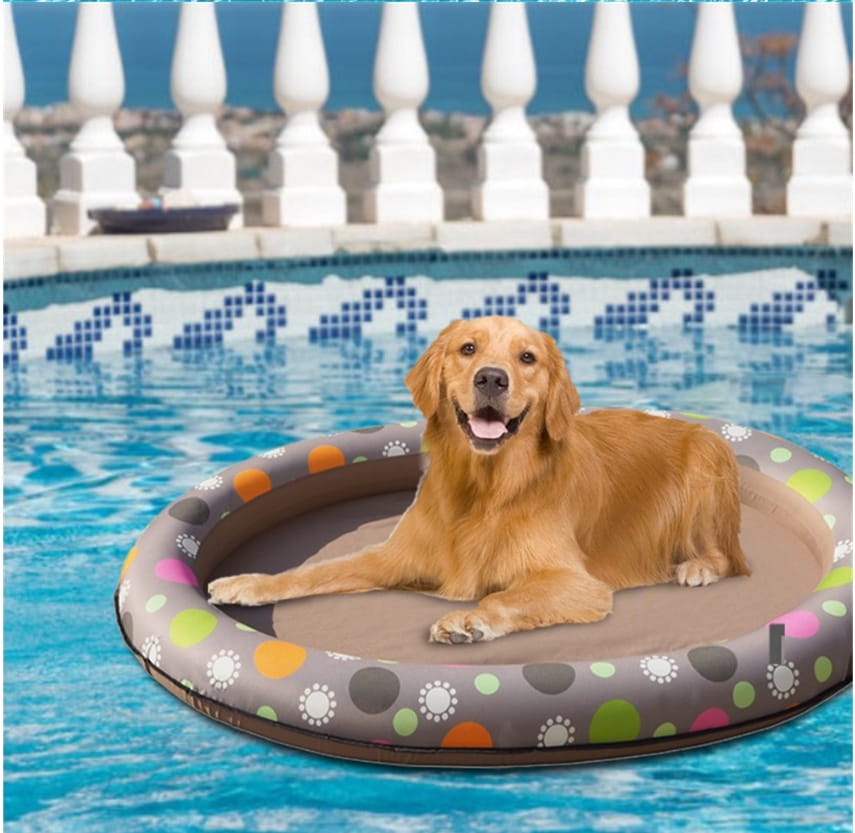 Dog Swimming Pool Float | Inflatable Pet Pool Raft for Dogs Up to 40kg